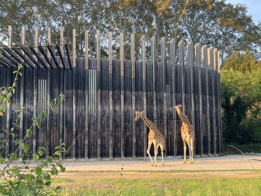 Municipales à Lyon : des hologrammes d’animaux au Parc de la Tête d’Or ? la promesse du candidat Jean-Michel Aulas