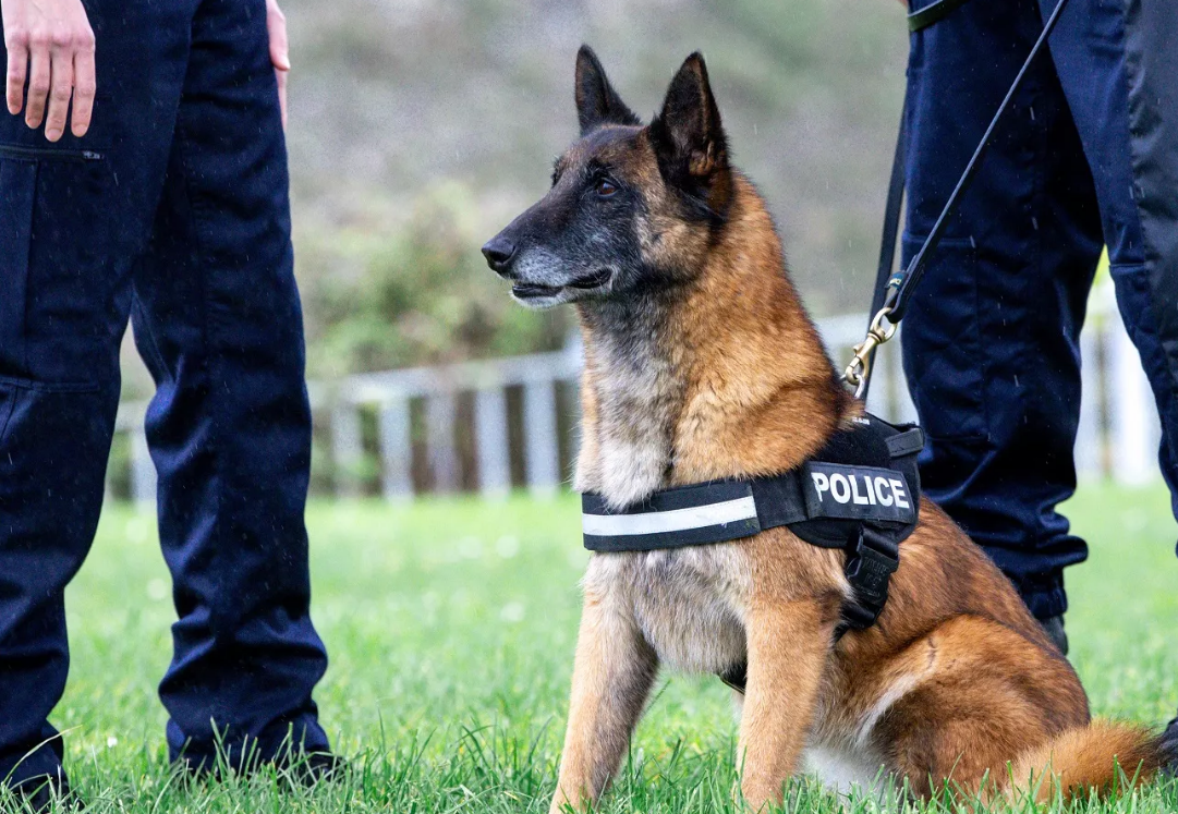 Sandrine Sarfati / police nationale